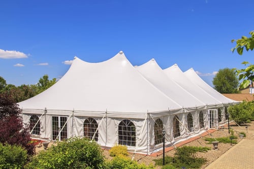 sattler-carpas