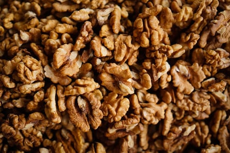 PI-Nueces