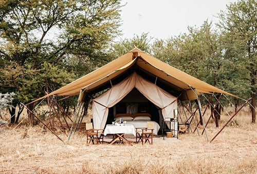 capra-para-glamping-tipo-safari