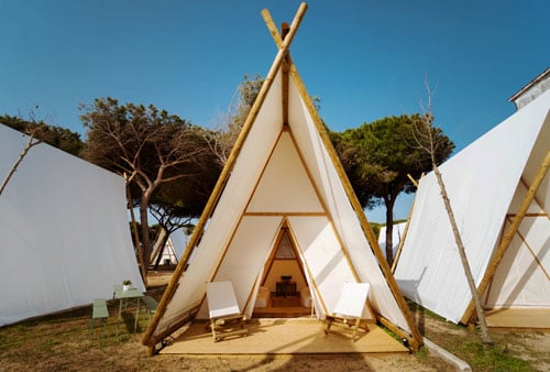 capra-para-glamping-tipo-tipi