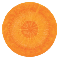 ZANAHORIA