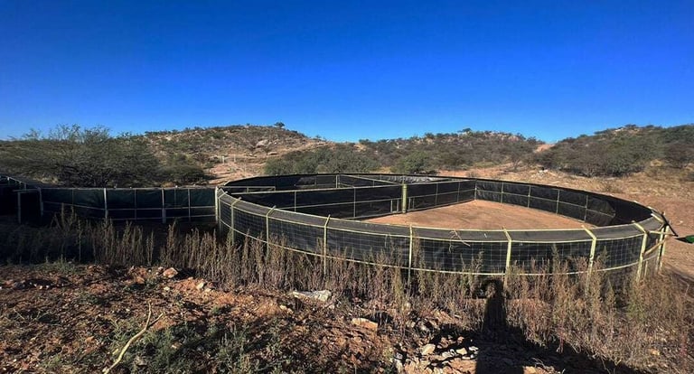 blog.ldm.lahubfsLDMBLOG - LDMGeomembranaGranja de venadosuso-de-geomembrana-en-granjas-de-venados-para-corrales