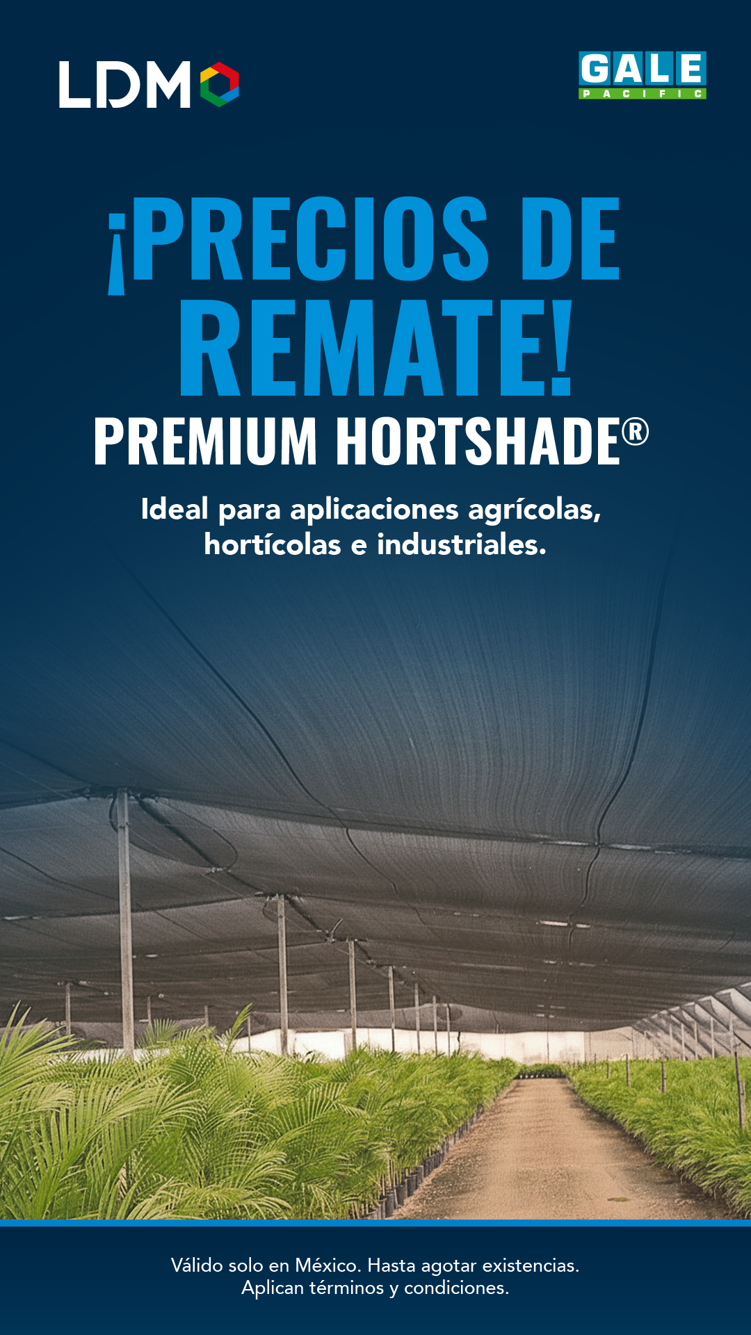 LDM- Flyer_01 Hortshade 