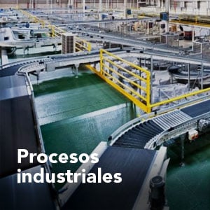 procesos_sector