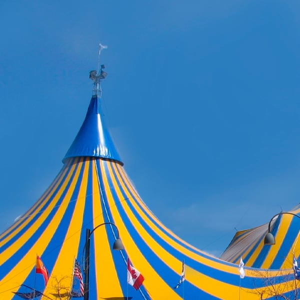 Lona-megaflex-800-protección-UV-durabilidad-de-color-flexibilidad
