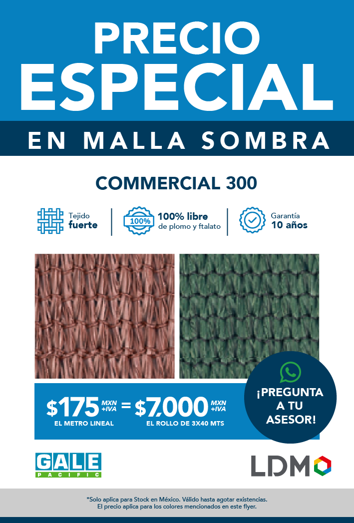 LDM- Promoción OCT_12